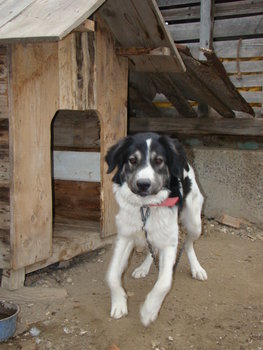 DSC01395.JPG
