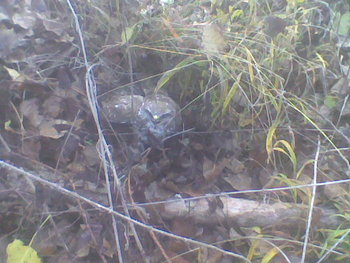 Sep-oct 2012009.jpg