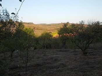 ALBINE 2012 012.JPG