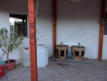 Picture 811 (Medium).jpg