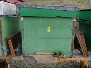 DSCI0839.jpg