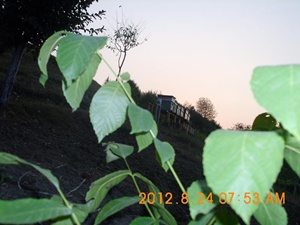 DSCI0845.jpg