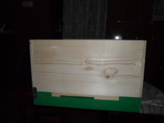 SAM_0050.jpg