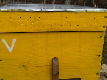 rsz_img00026-20121201-1237.jpg