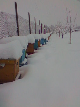 Imag0095.jpg