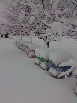 Imag0093.jpg