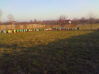 Imag0081.jpg