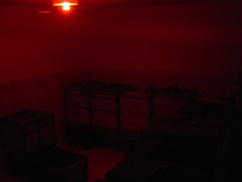 phpfxrWbiPM(1).jpg
