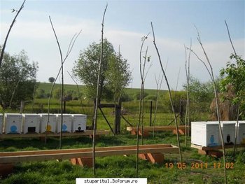 ok_165107 (Medium).jpg