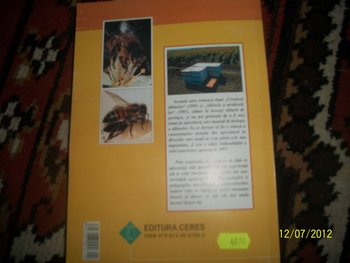 Picture 003.jpg