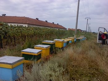 P180712_10.19.jpg
