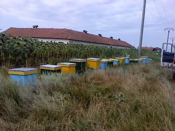 P180712_10.20.jpg