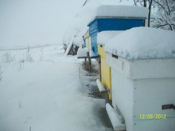 Picture 001.jpg