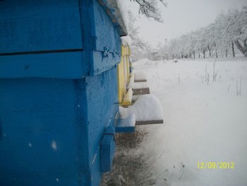 Picture 002.jpg