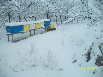 Picture 003.jpg