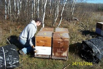 ruches_serrer1.jpg