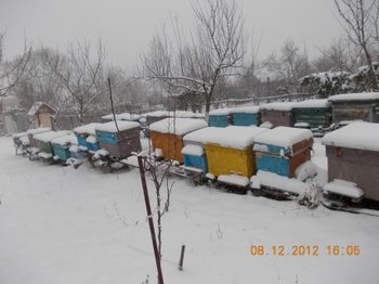 comeat 2012 004.JPG