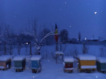 DSC02698 (Medium).JPG