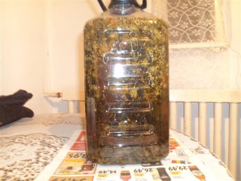 DSC02683 (Medium).JPG