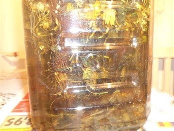 DSC02685 (Medium).JPG