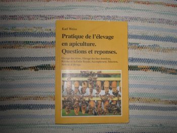 IMG_6145 (Small).jpg