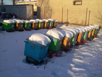 2 (600 x 450).jpg