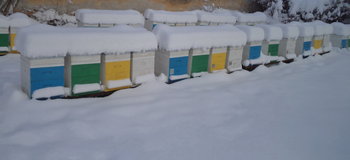 DSC01140.jpg