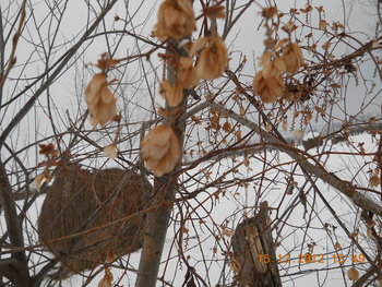 rsz_2dscn4652.jpg