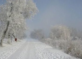 ok_16464.jpg
