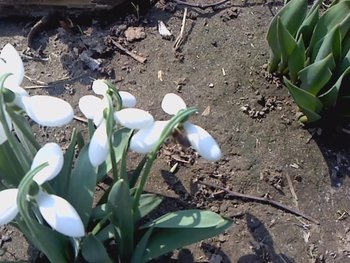Picture 070.jpg