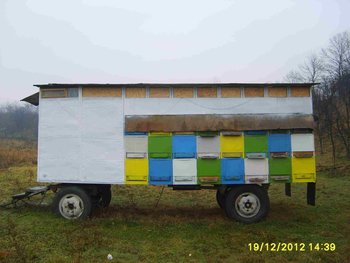 S6002283.jpg