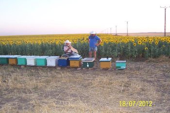 84010118_WJGEDWT3.JPG