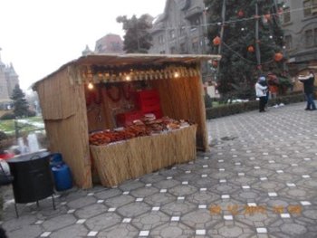 timisoara dec.2012 007.JPG