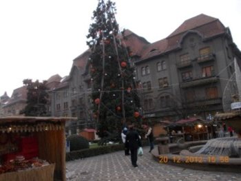 timisoara dec.2012 008.JPG