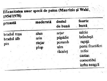 polen.JPG