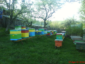 DSC05008.JPG