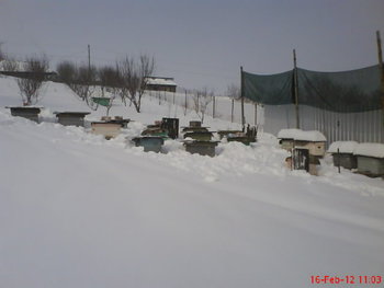 DSC04913.JPG