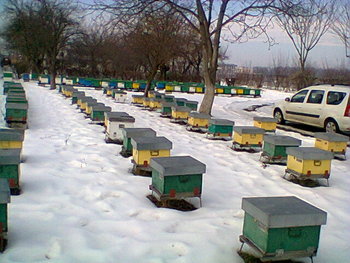 Fotogr.0010.jpg