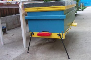 DSCF1108 (Small).JPG