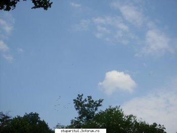 ok_56621.jpg