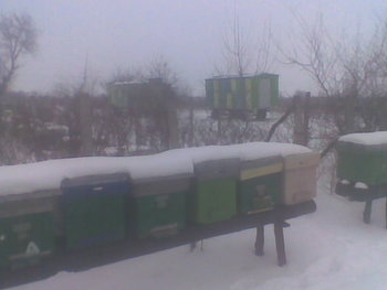Dec 2012023.jpg