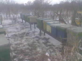 Dec 2012035.jpg