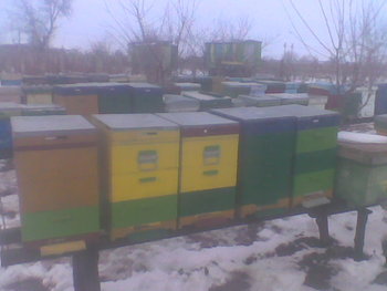 Dec 2012037.jpg