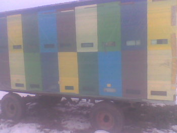 Dec 2012028.jpg