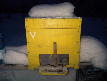 rsz_img00063-20121220-1702.jpg