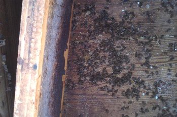 IMAG0070 (Small).jpg