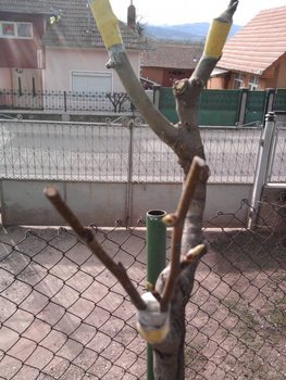efe5.jpg