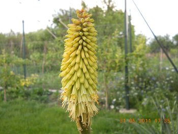 DSCN0724 (Large).jpg