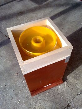 Immagine 020.jpg