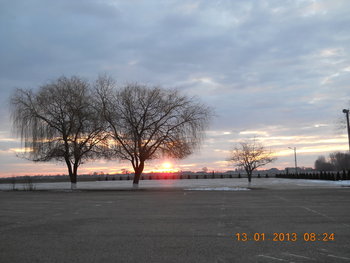 rsz_1picture_070.jpg